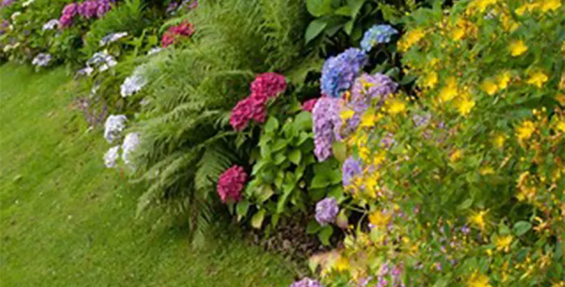 Amelia Island Related Image